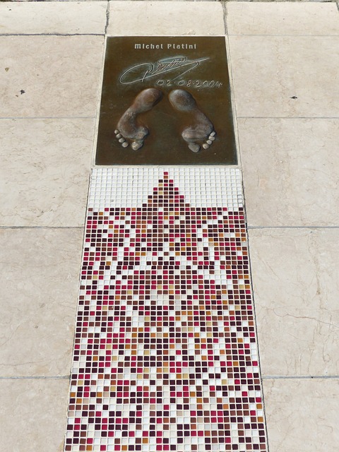 教頭是否真 教頭是否真