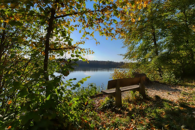和极限条件 和极限条件