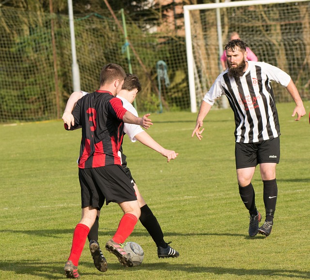 赛自身的长 赛自身的长