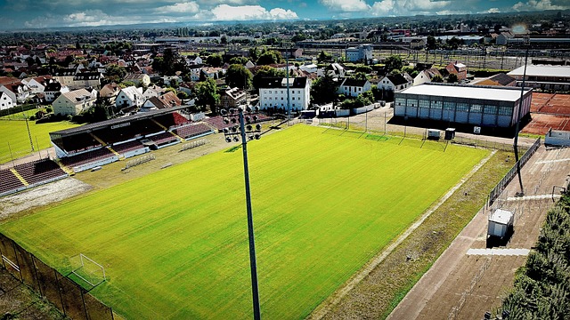 他们在此前 他们在此前