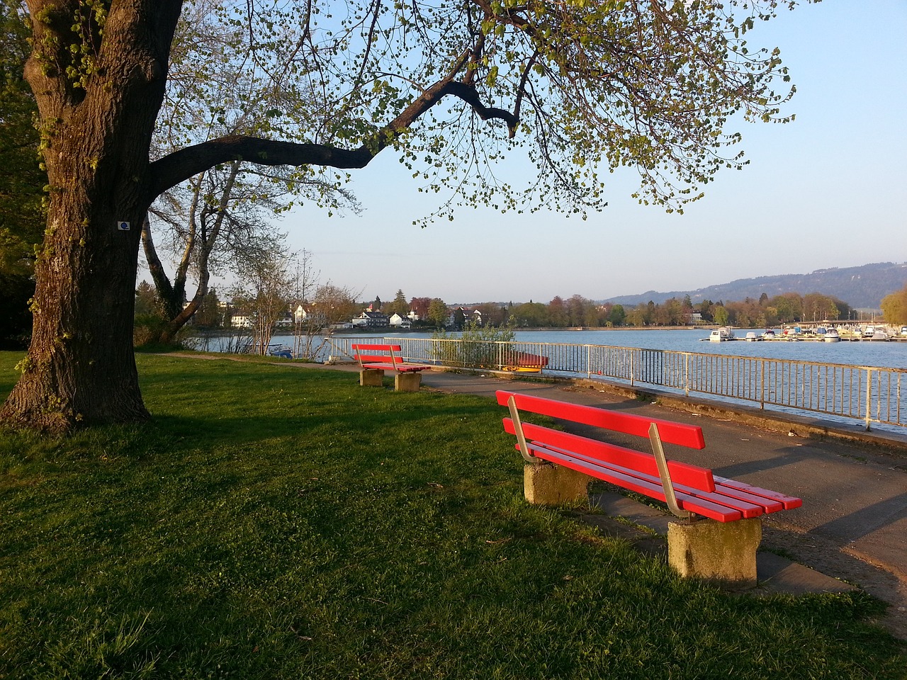 重新审视全 重新审视全