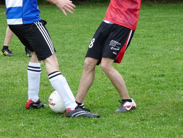 许多文人雅 许多文人雅