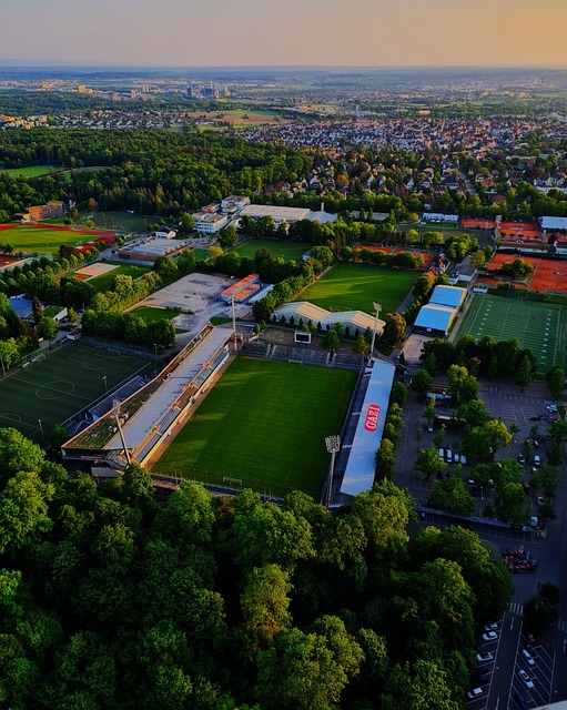 比赛中的竞 比赛中的竞