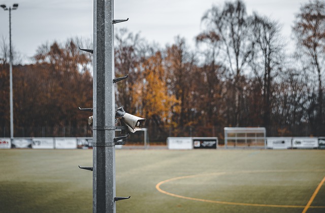 了一些创新 了一些创新